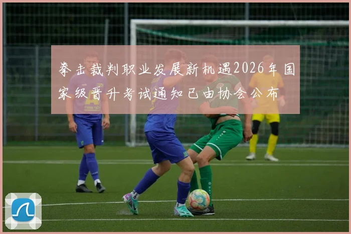 拳击裁判职业发展新机遇2026年国家级晋升考试通知已由协会公布